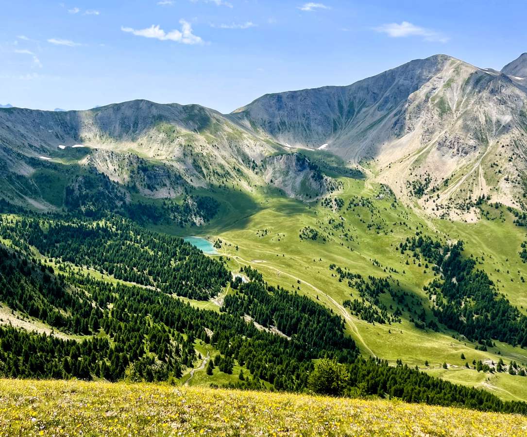The region